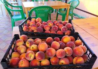 Гостевой дом Касабланка Кучугуры-3